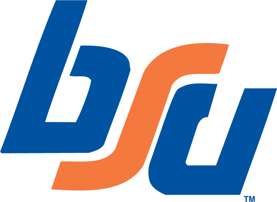 Boise State Broncos 1974-1983 Primary Logo iron on transfers for clothing